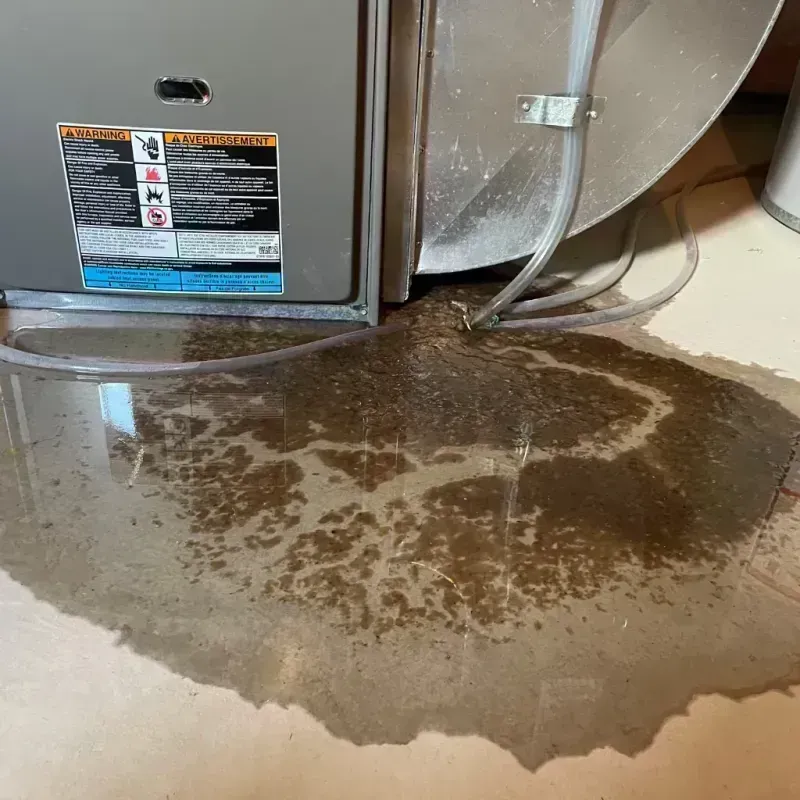 Appliance Leak Cleanup in Woodcrest, CA